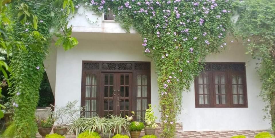 Abha Villa Гале Екстериор снимка